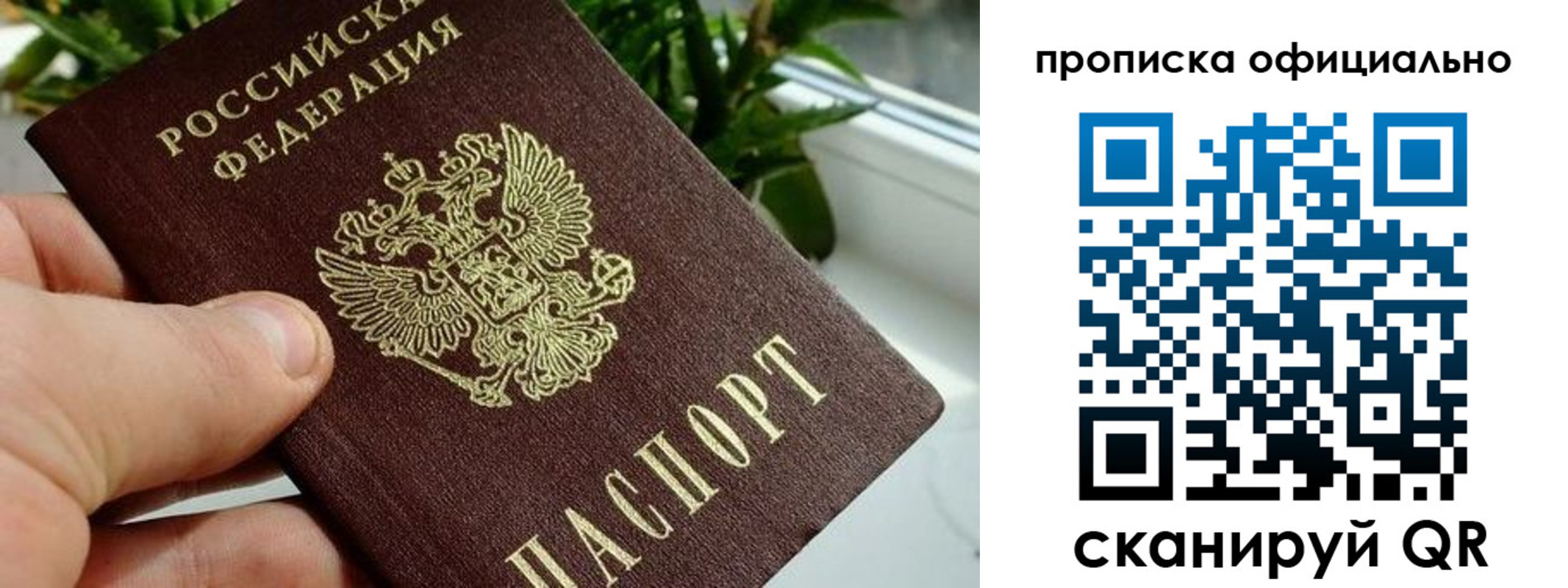 прописка поиск в Вяземском